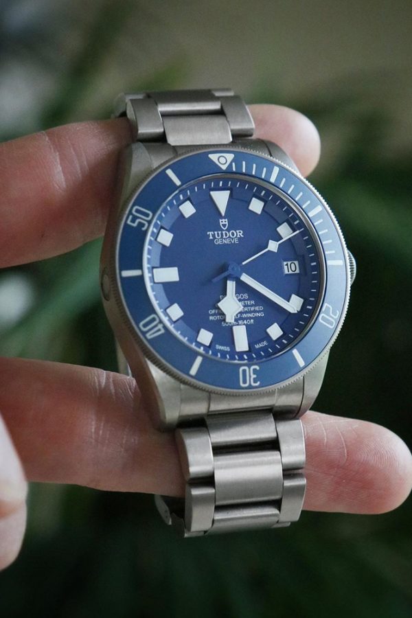 Tudor, Pelagos